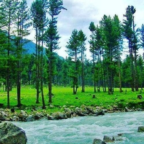 listing-details-carousel